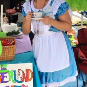 california costumes Other - Alice in wonderland costume california costumes Other - Alice in wonderland costume